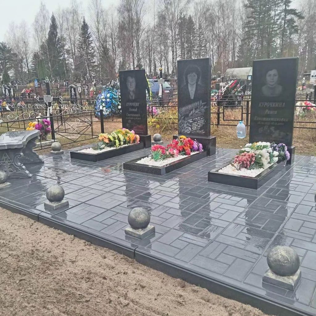 441290132_1134274177997530_9071327657759906831_n